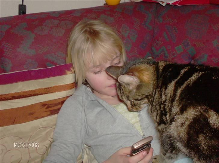 Huskat mis - jeg vil også se.... billede 8