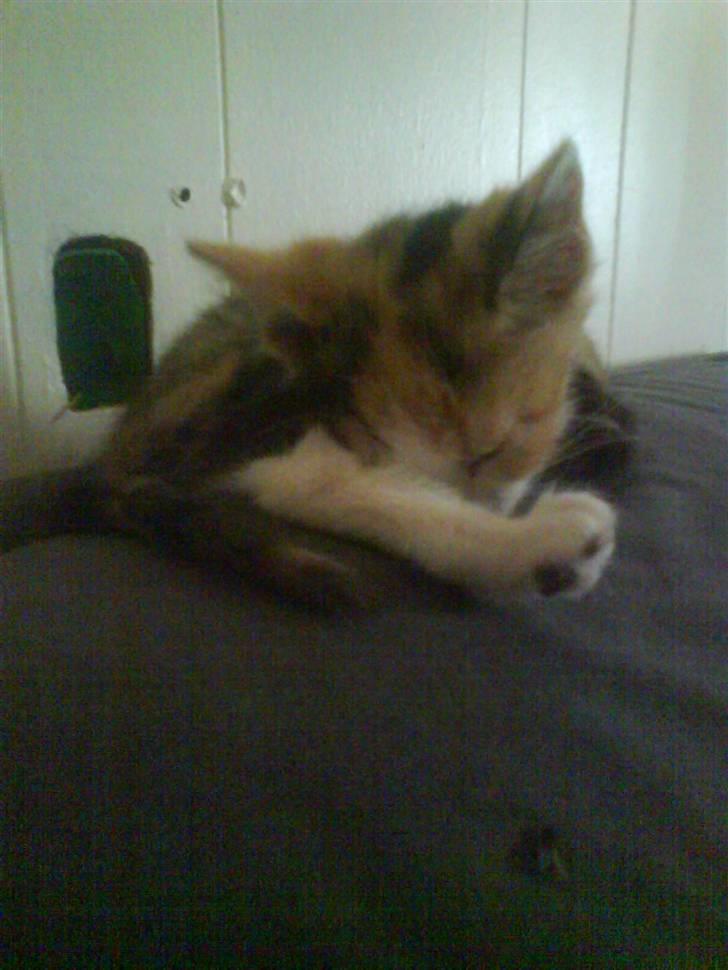 Huskat mille:) billede 10