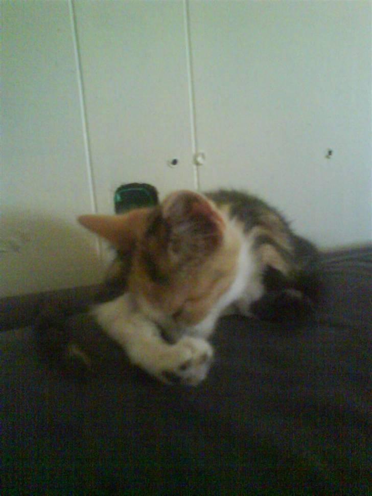 Huskat mille:) billede 11