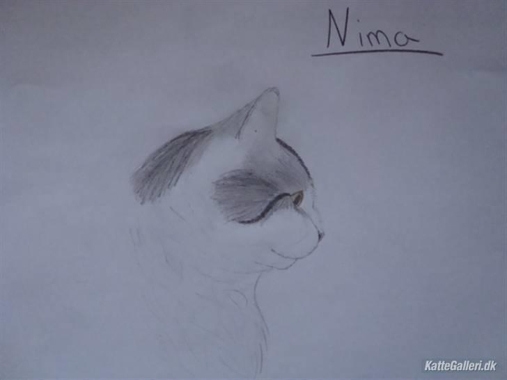 Huskat » Nina †6/05.08† <3 - Tegning tusinde tak helene:) billede 12