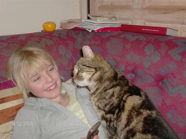 Huskat mis billede 9