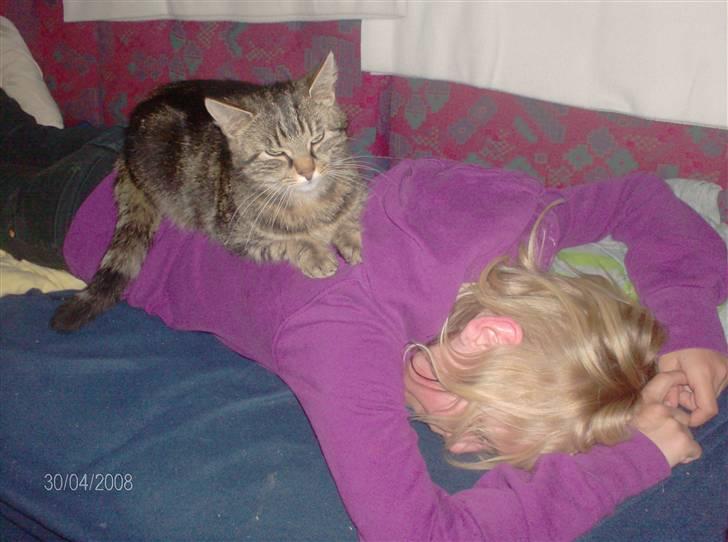 Huskat mis - jeg vil gerne lige ligge her på din rygge billede 10