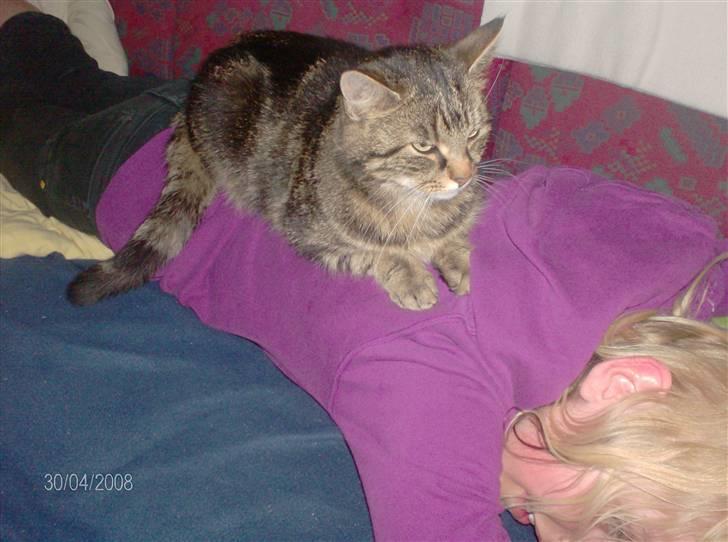 Huskat mis - jeg vil lige lidt længer op billede 11