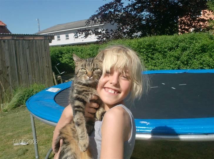 Huskat mis - en dejlig sommer dag... billede 12