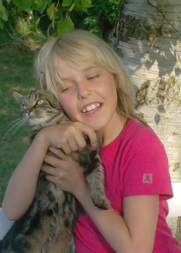 Huskat mis billede 14