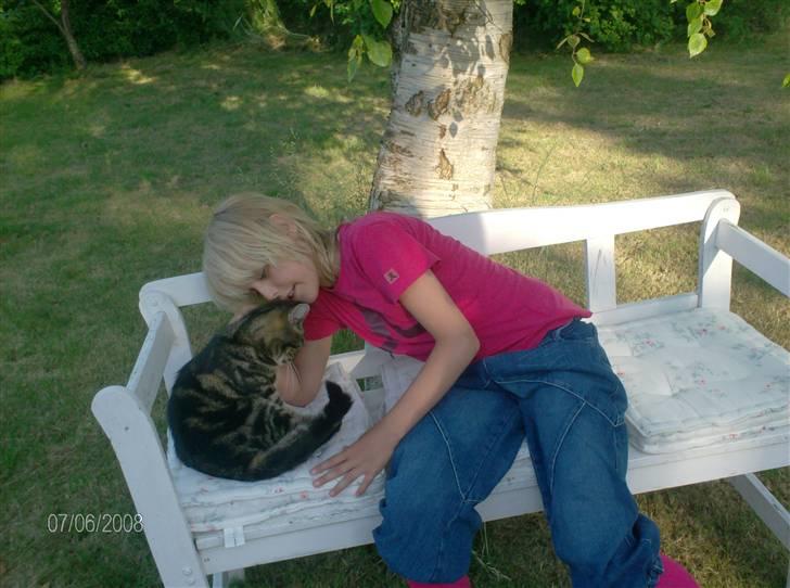 Huskat mis billede 16