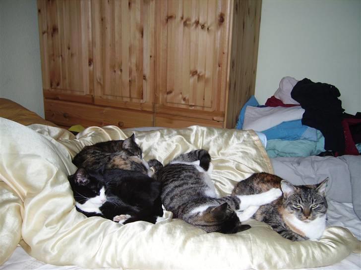 Huskat Winnie {R.I.P} billede 5