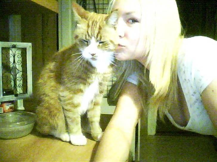 Blanding af racer Stalin R.I.P - Han nusser mig .:) billede 2