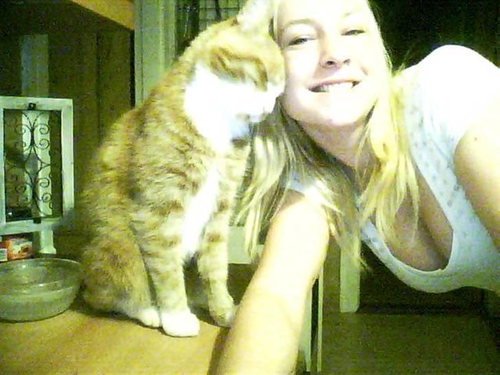 Blanding af racer Stalin R.I.P - Han er så kælen . =) billede 3