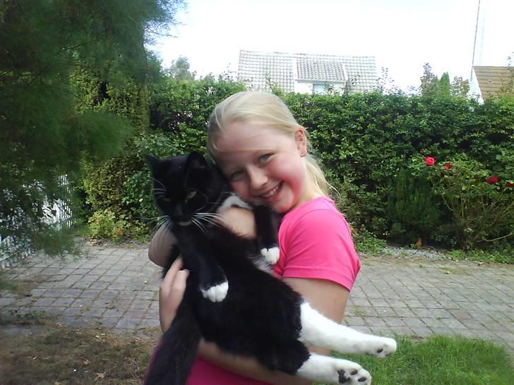 Norsk Skovkat Mini-Mis og Mis-Baby - Her er så mig og Mis-Baby billede 11