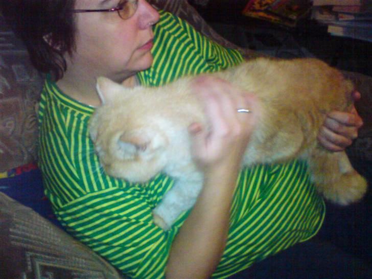 Exotic Gino Larenco R,I.P <3 /; - Gine og mor tager en slapper billede 2