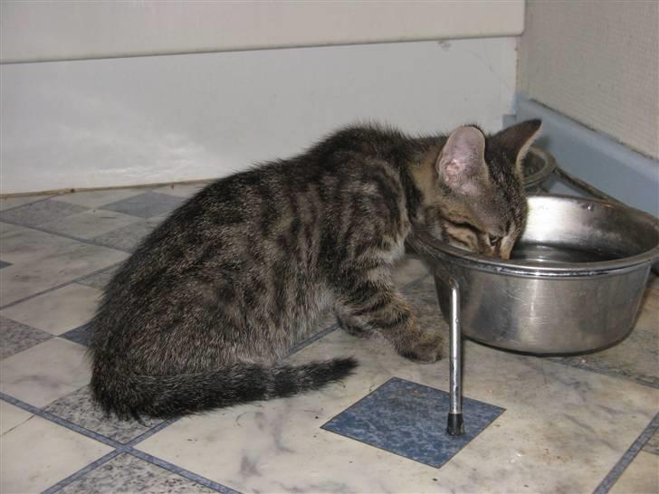 Huskat Missetat **BORTGIVET** billede 14