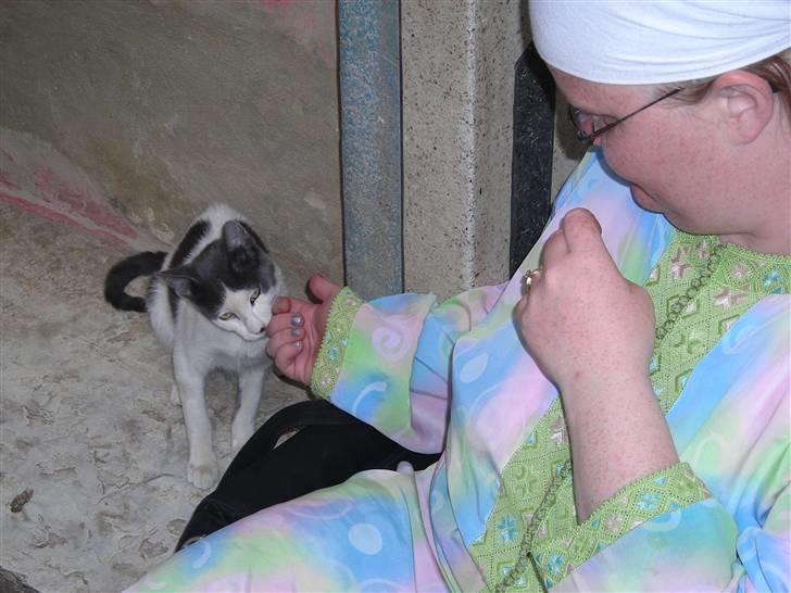 Huskat plet billede 2