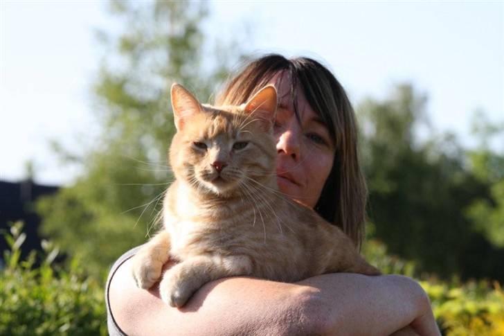 Huskat Oskar - Oskar og verdens bedste mor... billede 7