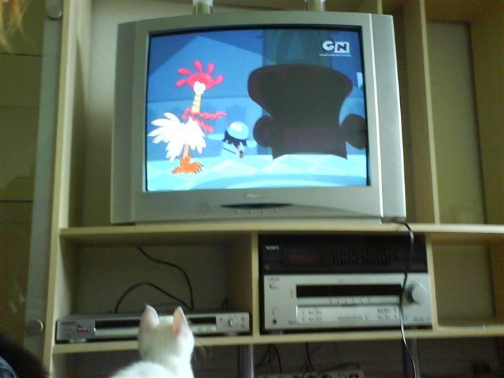 Blanding af racer tyson  - jeg eeelsker bare at se tegnefilm :D billede 4