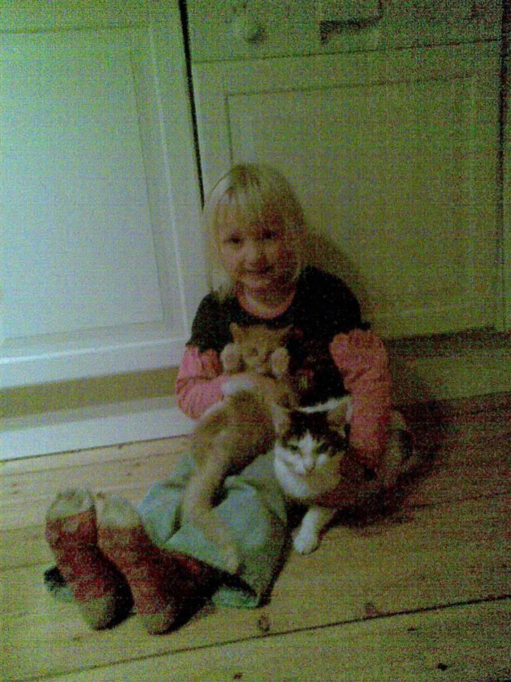 Huskat Mimi billede 15