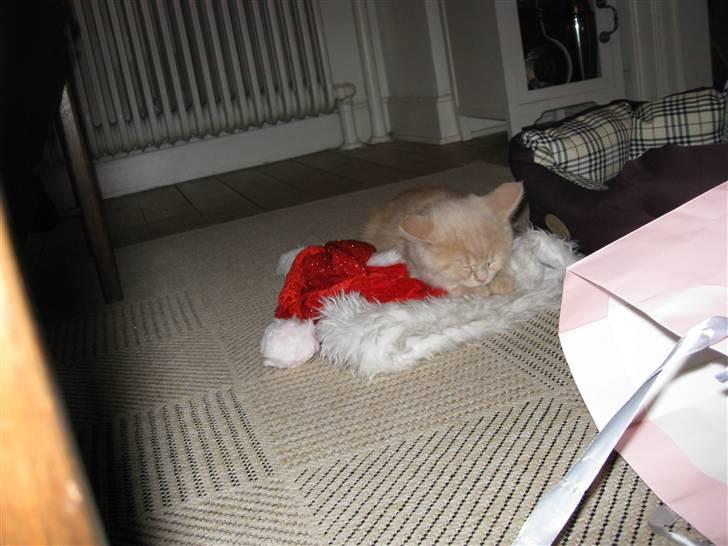 Blanding af racer Uber billede 7