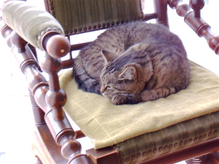 Huskat mille R.I.P )': - Z Z Z :* billede 2