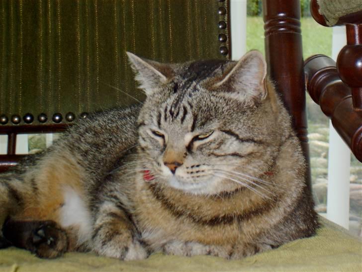 Huskat mille R.I.P )': - heh<3 billede 4