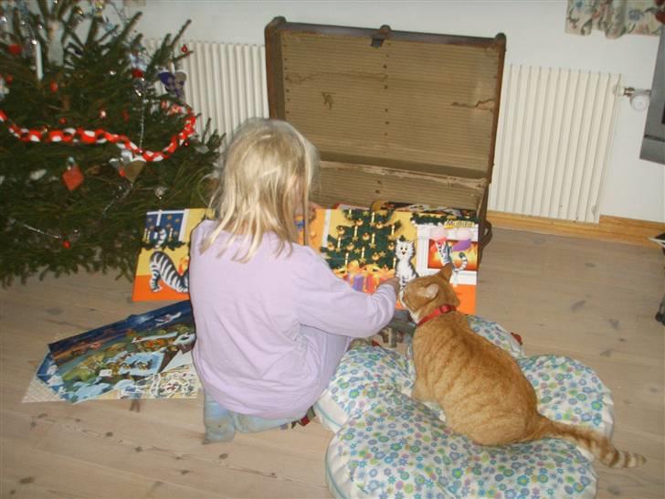 Huskat Prinsesse Kaj - lille kaj  billede 1