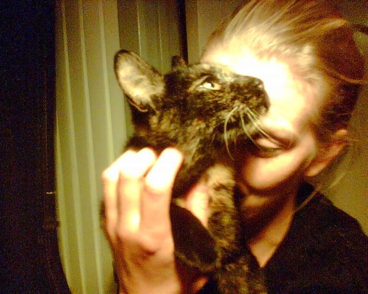 Huskat Pippi billede 7