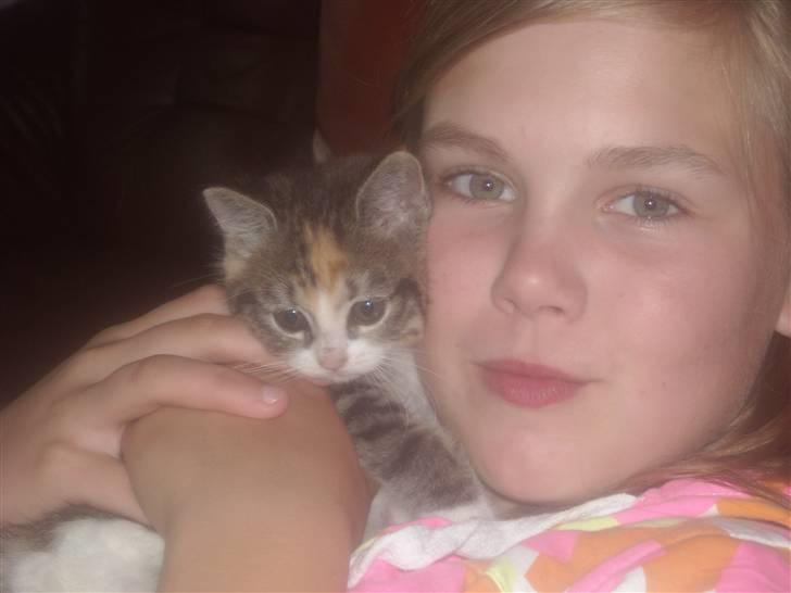 Blanding af racer Olga R.I.P - Mig og Nina billede 3