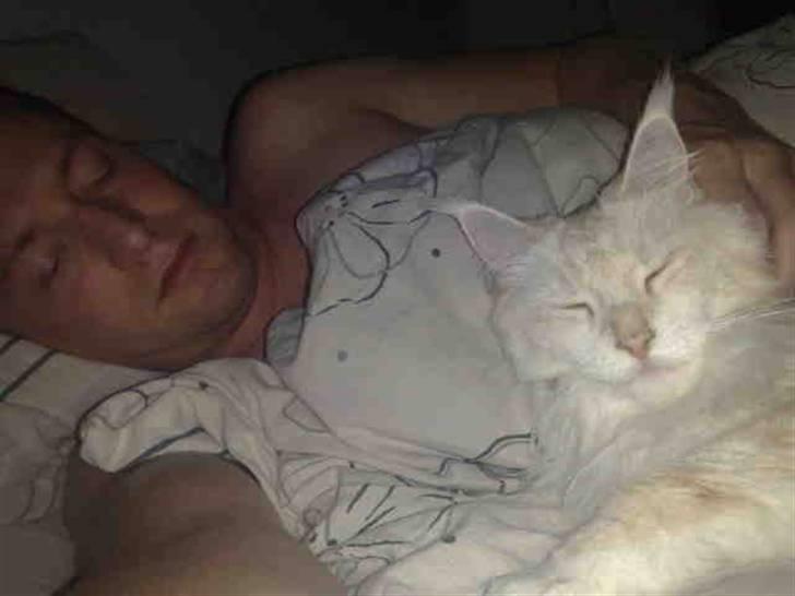 Maine Coon Nala " Prinsessen " - Se hvor vi putter.... billede 11