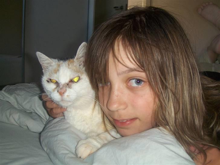 Blanding af racer Amanda R.I.P savner dig  billede 14