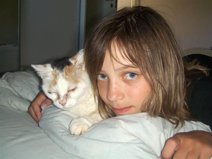 Blanding af racer Amanda R.I.P savner dig  billede 15