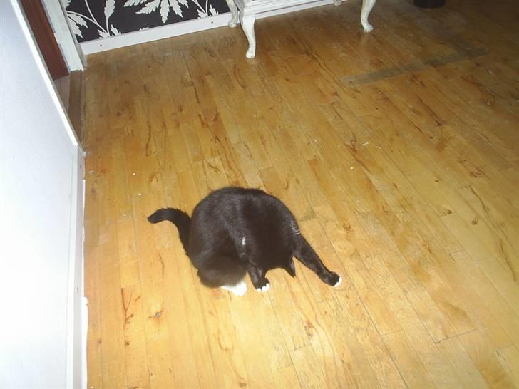 Blanding af racer Batman - E L S K E R D I G B A T T E R ! (  : billede 3