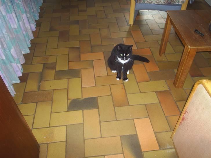 Blanding af racer Batman - E L S K E R D I G B A T T E R ! (  : billede 5