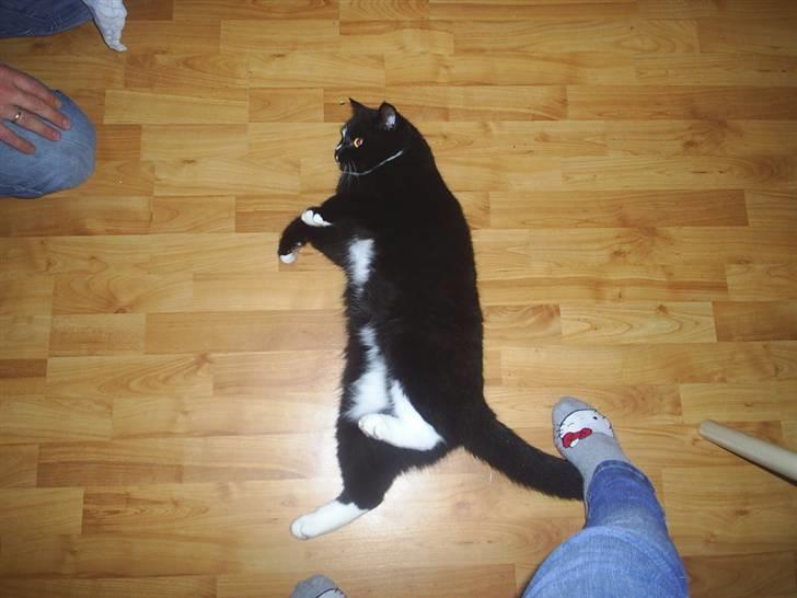 Blanding af racer Batman - E L S K E R D I G B A T T E R ! (  : billede 6