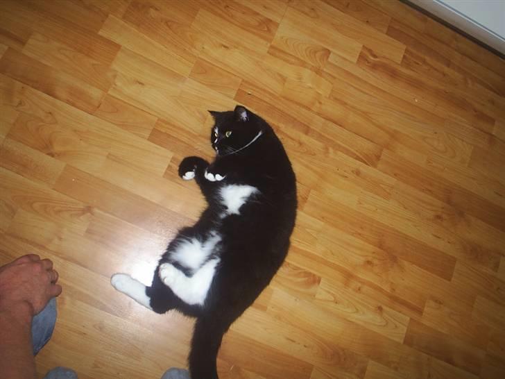 Blanding af racer Batman - E L S K E R D I G B A T T E R ! (  : billede 7