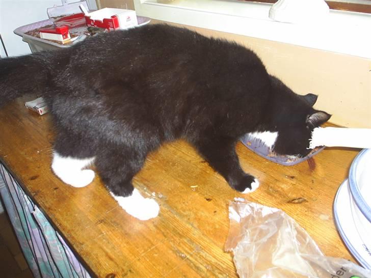 Blanding af racer Batman - Mmmmmm MAD! Elsker dig! billede 8