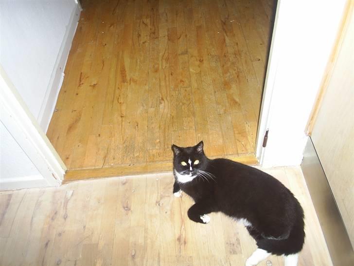 Blanding af racer Batman - E L S K E R D I G B A T T E R ! (  : billede 9