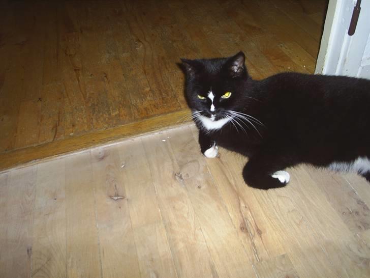 Blanding af racer Batman - E L S K E R D I G B A T T E R ! (  : billede 10