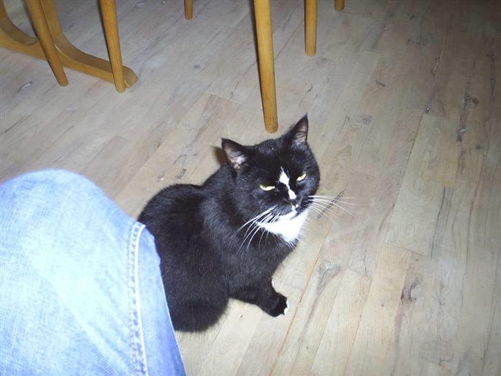 Blanding af racer Batman billede 11