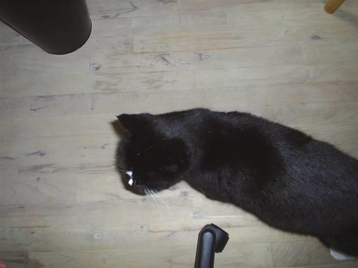 Blanding af racer Batman billede 12