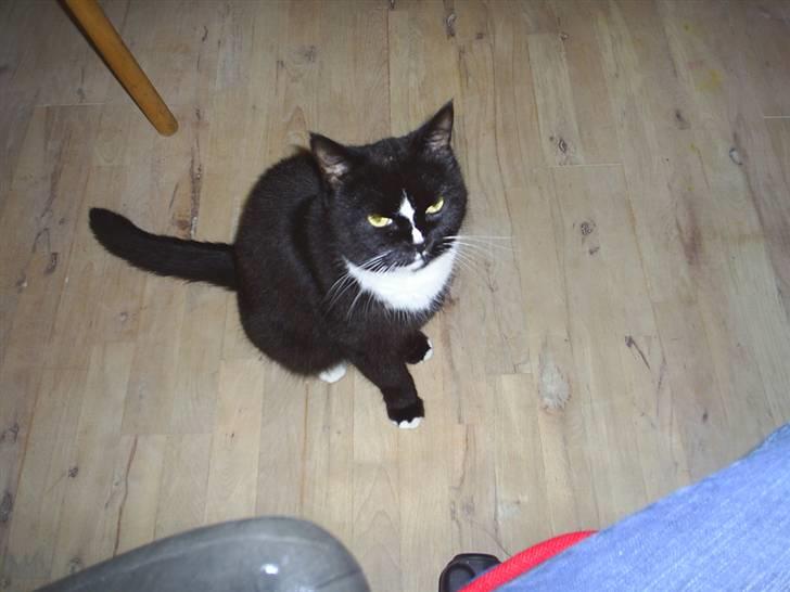 Blanding af racer Batman billede 14