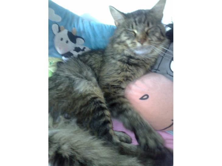 {{currentPhoto.altText}} billede {{currentPhoto.number}}