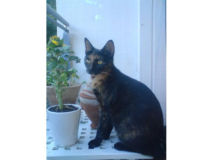 {{currentPhoto.altText}} billede {{currentPhoto.number}}