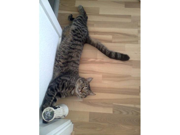 {{currentPhoto.altText}} billede {{currentPhoto.number}}