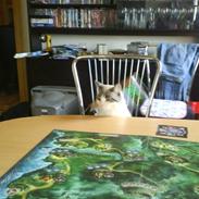 Blanding af racer Wenona