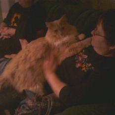 Blanding af racer Bamse *RIP*