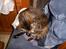Huskat Pus 'R.I.P* :´(