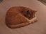 Blanding af racer Garfield