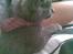 Huskat Ib - Superkatten Ibber