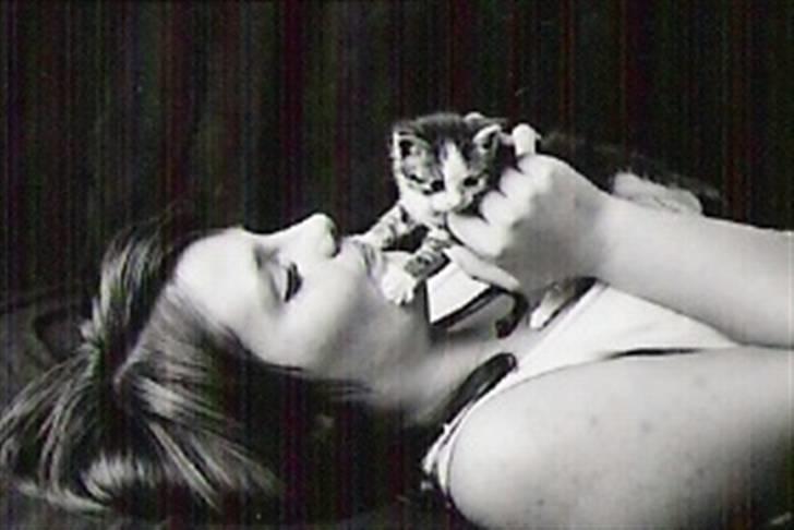 Blanding af racer Daisy :-) -  billede 1