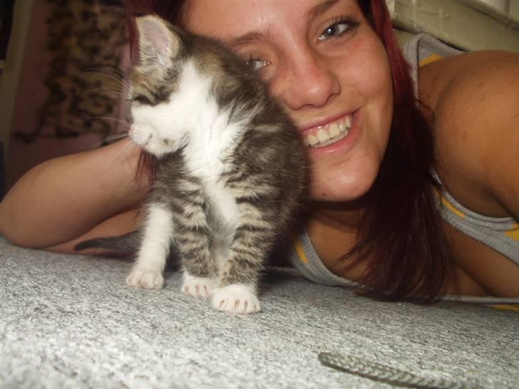 Blanding af racer Daisy :-) -  - prinsessen og sin mor :b billede 8