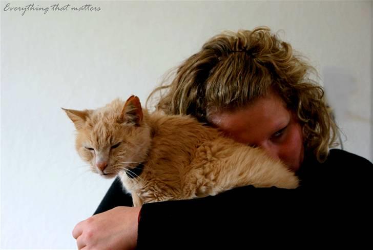 Blanding af racer Louie AFLIVET - NYT billede 18